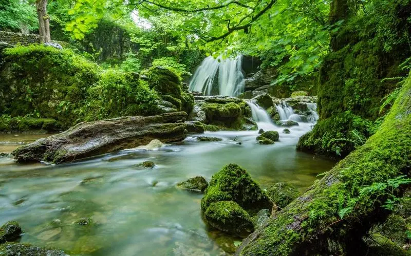 可靠性高效独特